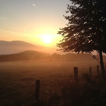 An Den Bergwiesen アパート *