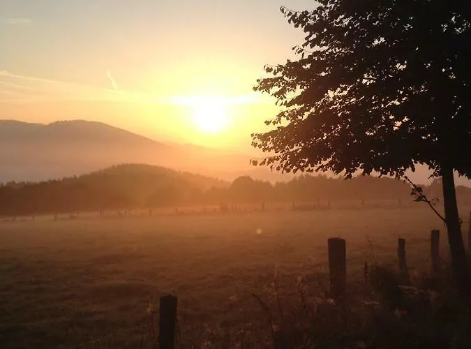An Den Bergwiesen Apartman *